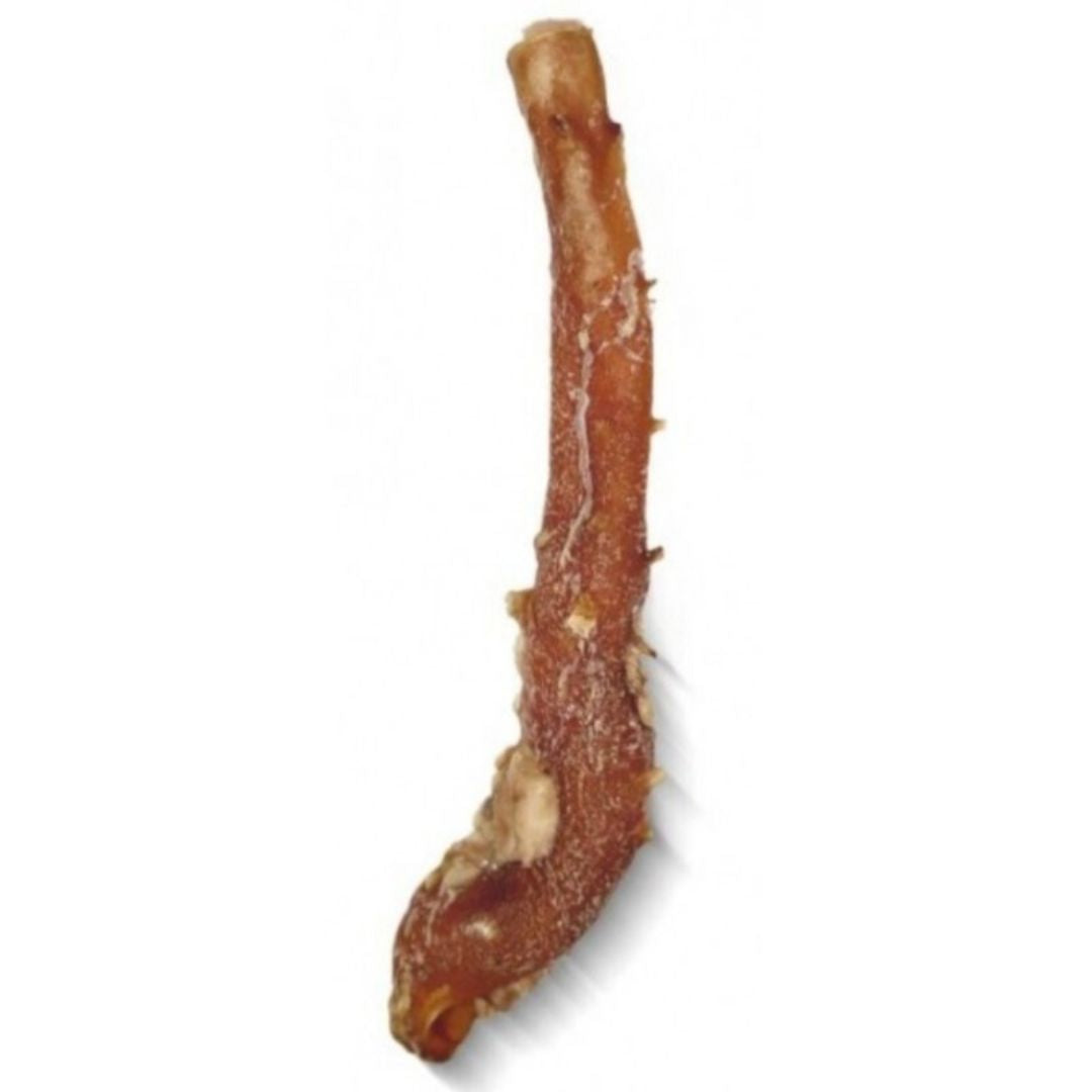 Aorta de ternera deshidratada (2ud)