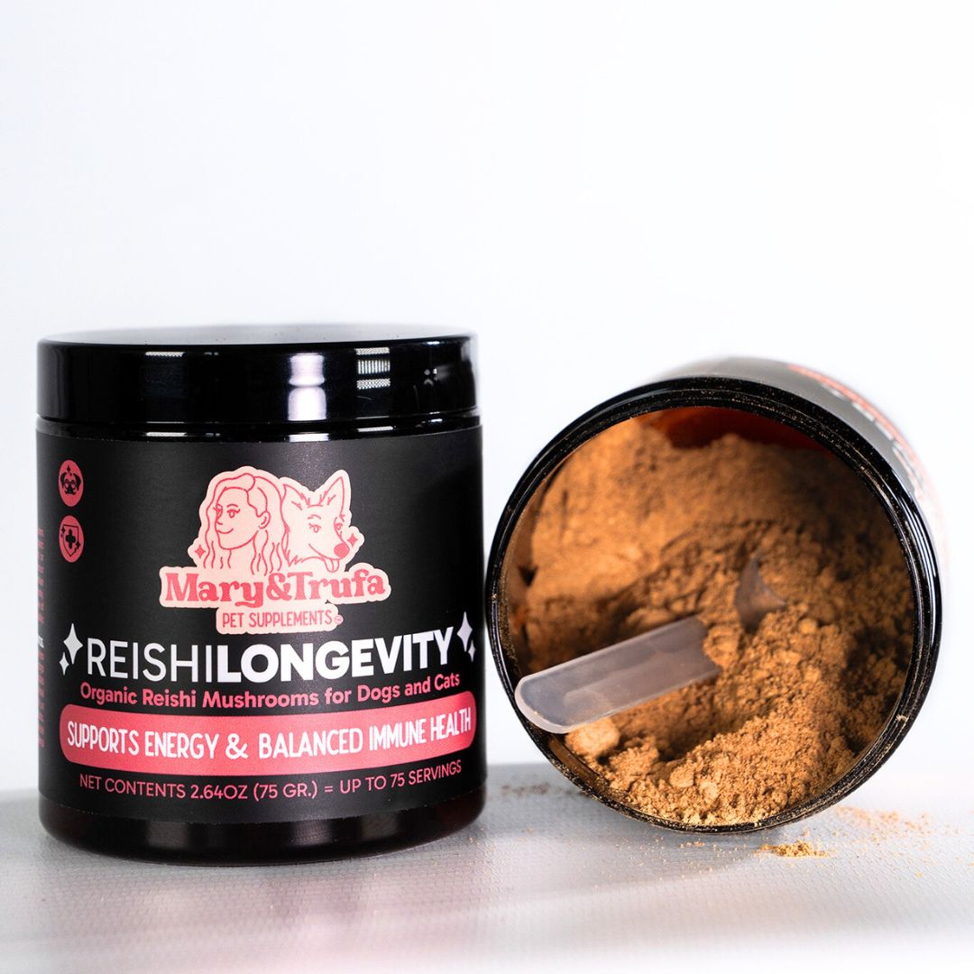 Mary&Trufa – Reishi Longevity