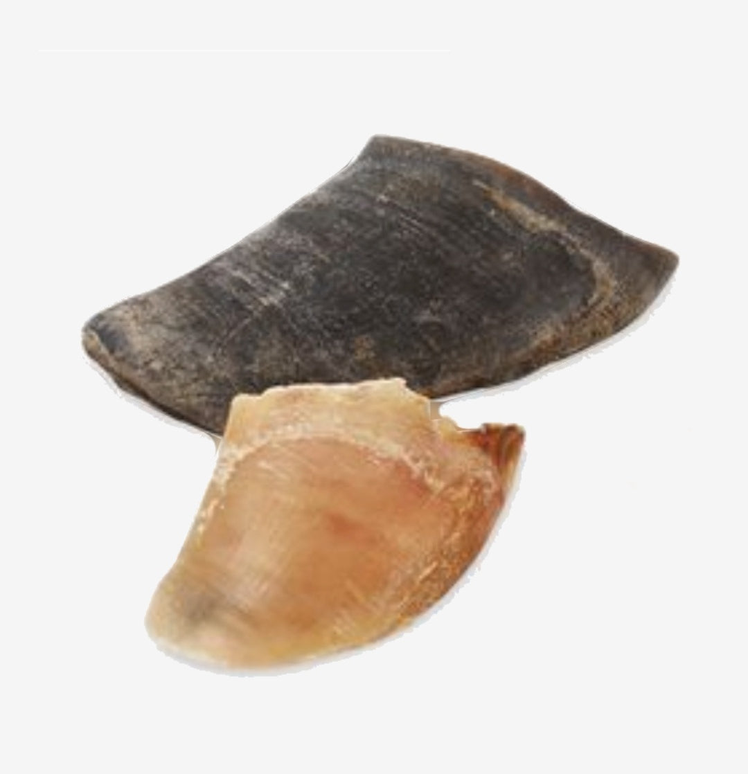 Pezuña de ternera 1ud