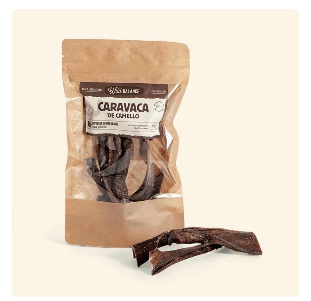 Caravaca de Camello