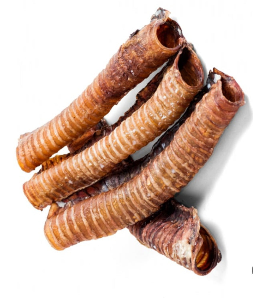 Tráquea de Ternera XL 1ud