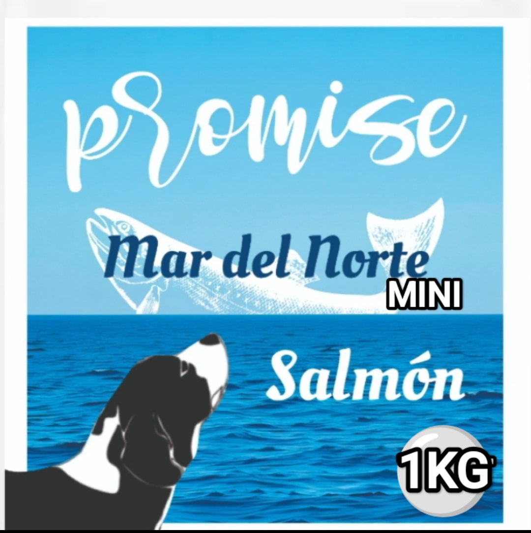 Promise Mar del Norte MINI 1kg muestra