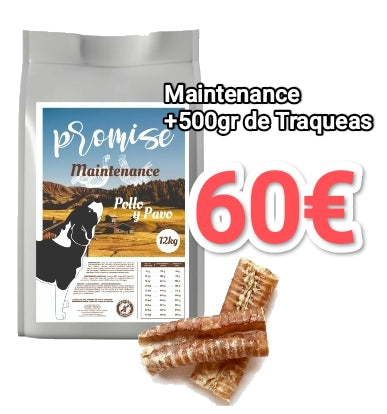 Promise Maintenance+ 500gr de Traqueas (±12ud)