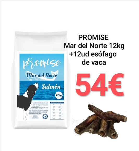Mar del Norte+ Esófago de Vaca