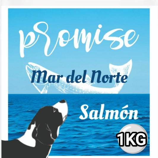 Promise Mar del Norte 4kg lote de muestra