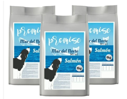 Promise Mar del Norte MINI 4kg