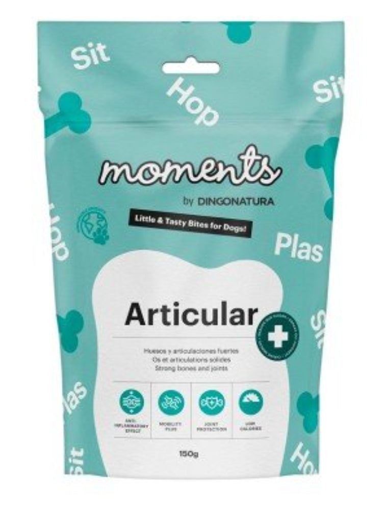 Moments Articular