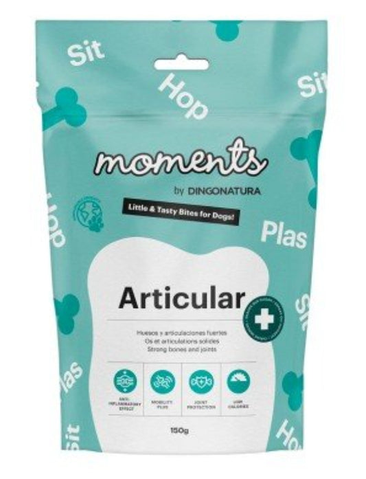 Moments Articular