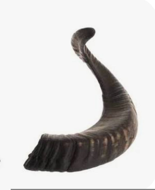 Cuerno de Cabra+20cm